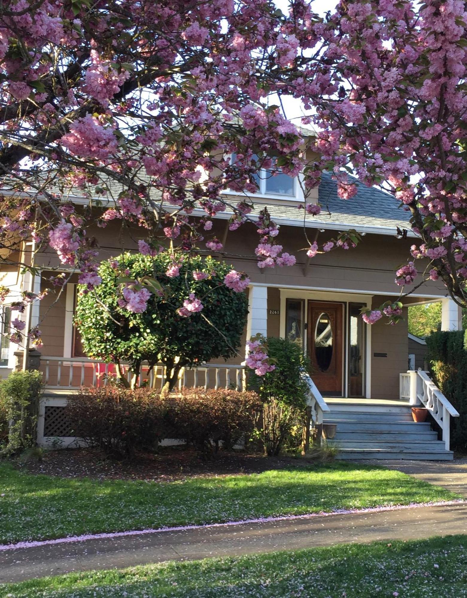 Southeast Portland Comfy & Eclectic Craftsman Home Extérieur photo